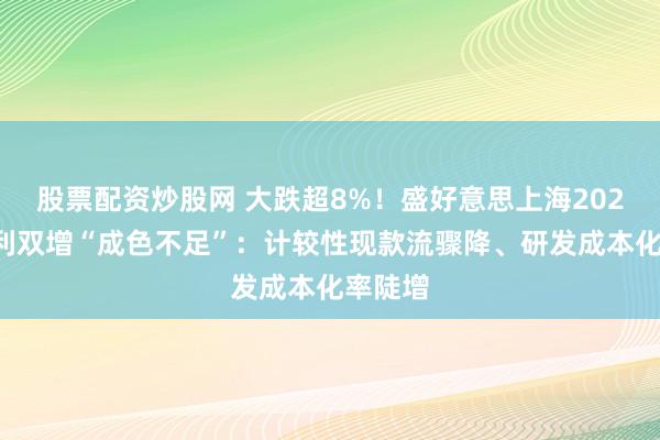 股票配资炒股网 大跌超8%！盛好意思上海2025年牟利双增“成色不足”：计较性现款流骤降、研发成本化率陡增