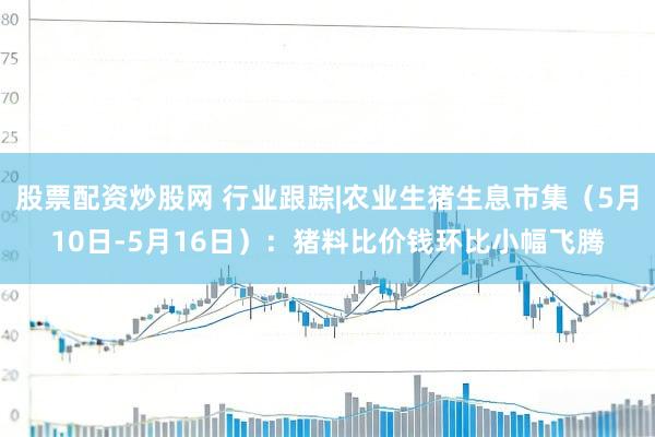 股票配资炒股网 行业跟踪|农业生猪生息市集（5月10日-5月16日）：猪料比价钱环比小幅飞腾